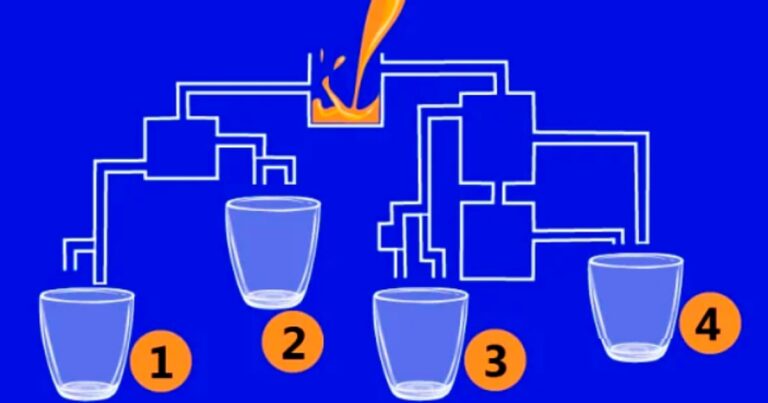 Teste! Você consegue descobrir qual copo receberá o suco de laranja?