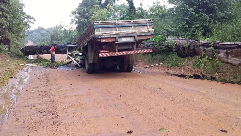Árvore despenca em cima de caminhão e 4 pessoas perdem a vida; sobrevivente desabafa: ‘Feliz por estar vivo’