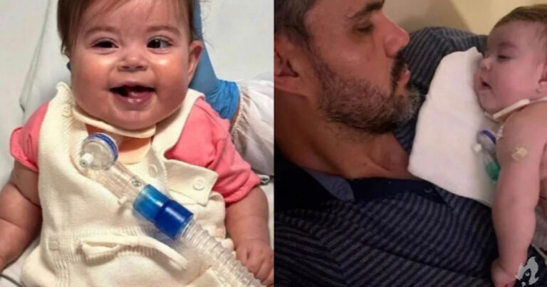 Filha de Juliano Cazarré dá adeus aos médicos e ator agradece por todas as orações