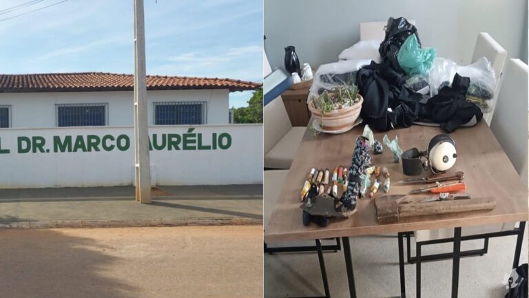 Aluno que atacou escola em Goiás e feriu duas estudantes tinha bombas caseiras