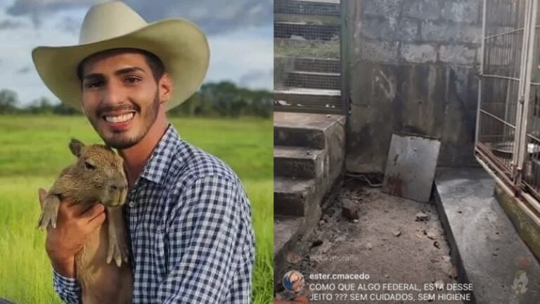 Deputada Estadual do Amazonas fez uma live expondo as situações precárias que a capivara Filó se encontra, após ser entregue ao IBAMA