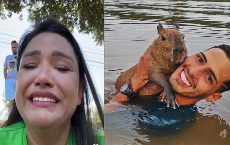 Aos prantos, Joana Darc revela que Ibama impede visita à capivara Filó; vídeo