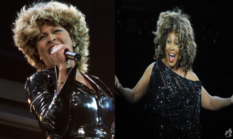 Tina Turner: Saiba o valor da herança deixada pela cantora