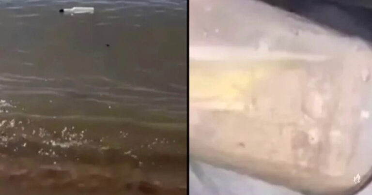 Casal se arrepende de ter aberto mensagem em uma garrafa que encontrou na praia