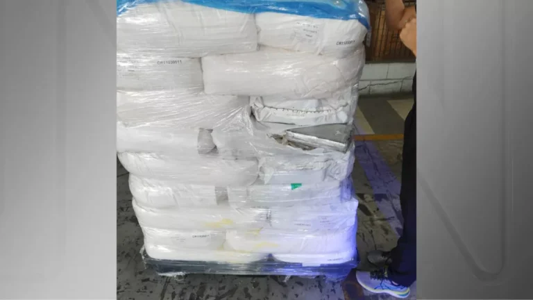 PF apreende mais de 600kg de cocaína no Porto de Santos