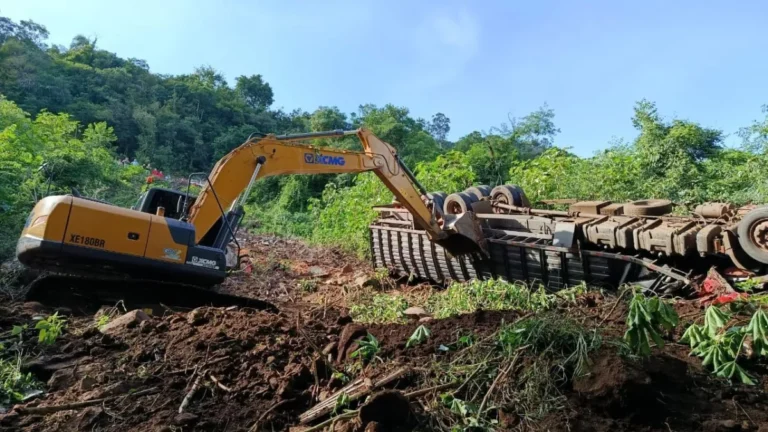 Caminhoneiro e 18 bois morrem em acidente no RS