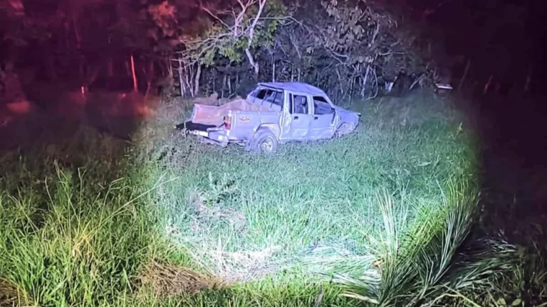 Idoso morre após capotar caminhonete e ser atacado por abelhas em MG