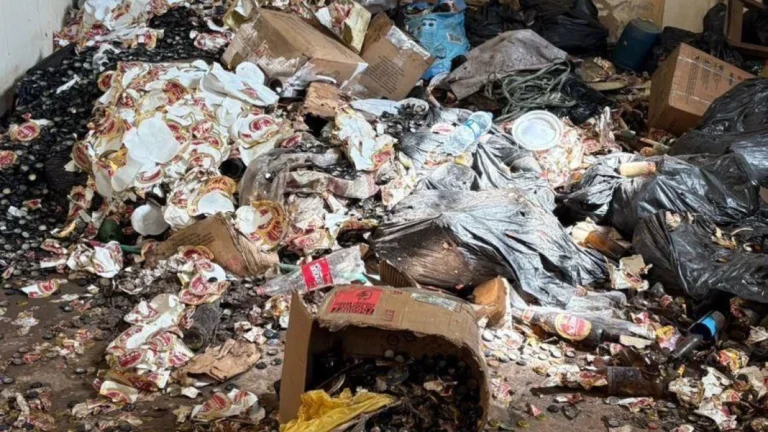 Polícia descobre esquema que vendia cervejas baratas em rótulos de marcas famosas