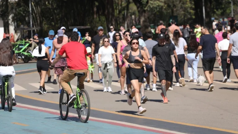 Veja o que se sabe e o que falta esclarecer sobre casos de agressões dentro do Parque Ibirapuera