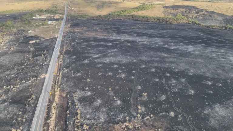 Incêndio atinge mais de 820 hectares na Chapada dos Veadeiros (GO)