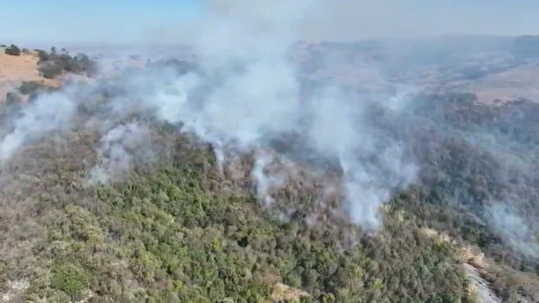 SP registra 11 focos de incêndio e usa aeronaves para combater as chamas