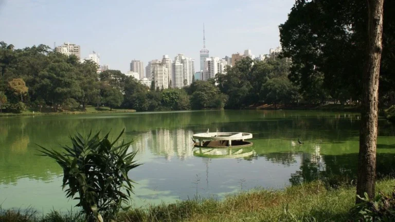São Paulo terá semana de tempo firme e predomínio de sol