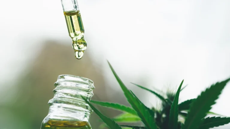 Regulamentação da cannabis pode gerar R$ 5,76 bilhões até 2030, diz Embrapa