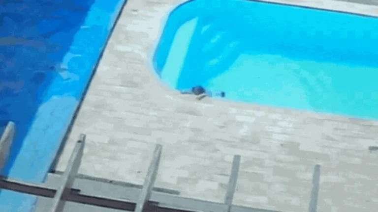 Criança de 2 anos cai em piscina em MG e é salva pelo pai; veja