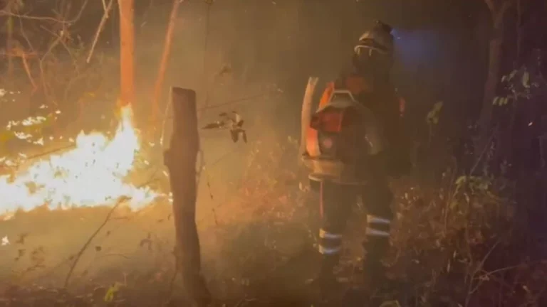 Incêndio na Chapada dos Veadeiros: Combate ao fogo completa uma semana