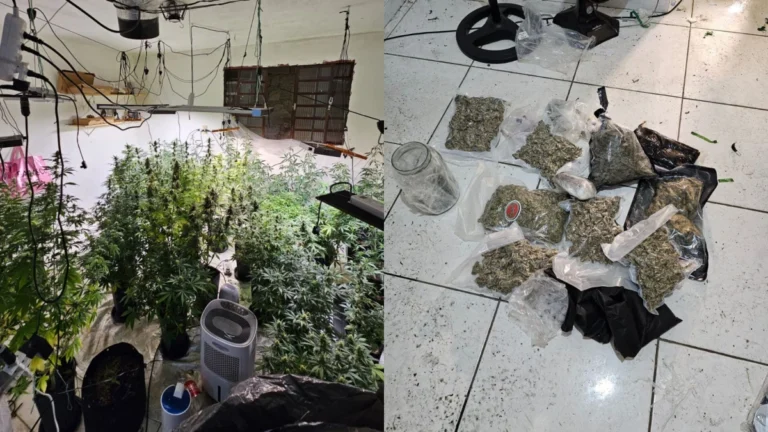 “Sobrado da maconha” tinha climatizador e até sistema de duto em SP