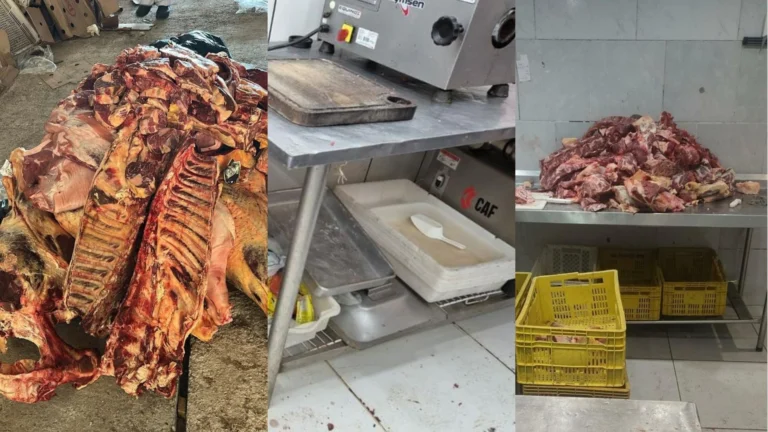 Carne vencida há dois anos é apreendida dentro de estabelecimento no RS