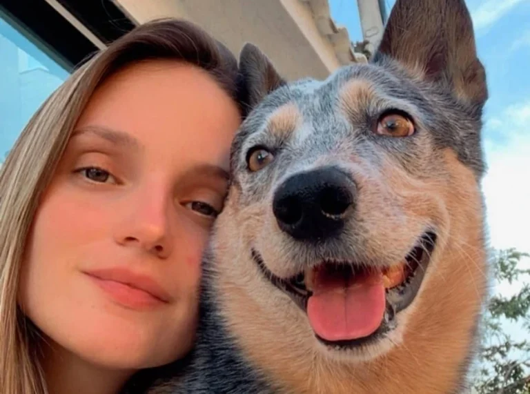Cachorro sobrevive a acidente e fica ao lado de tutora morta no ES
