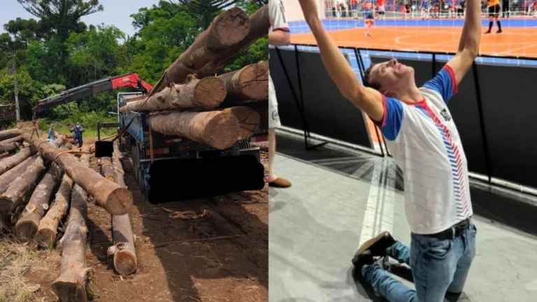 Torcedor de clube de futsal é esmagado por tora de madeira e morre em SC