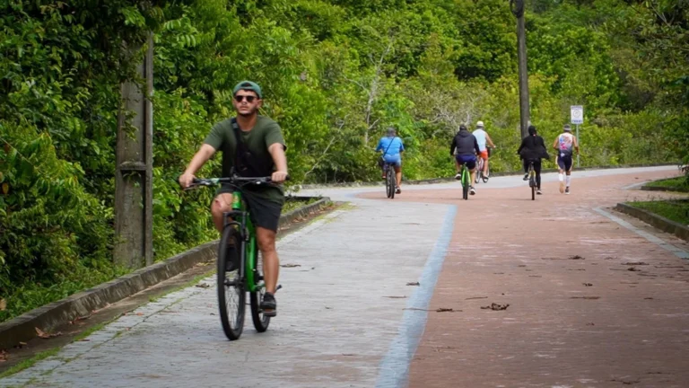 Jovem é picado por jararaca após entrar em área proibida de parque em Belém