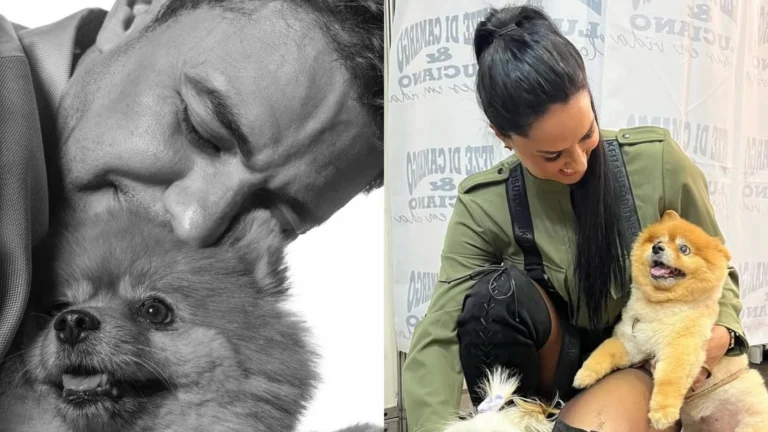 Zezé e Graciele lamentam morte de cachorrinha: “Coração despedaçado”