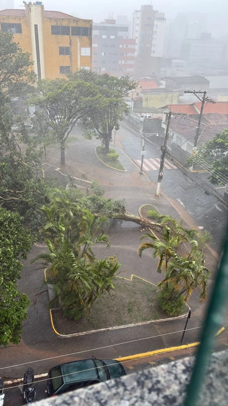 VÍDEO: Chuva com vendaval e granizo provoca queda de árvores e falta de energia em Pará de Minas