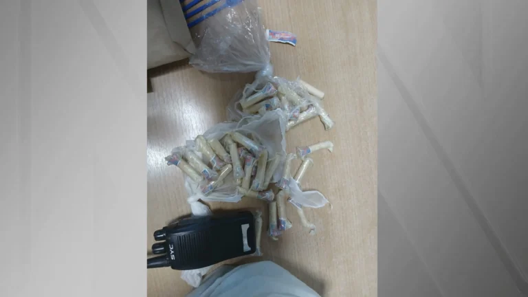 Homem que mutilou cavalo vivo em Bananal é preso em operação contra tráfico