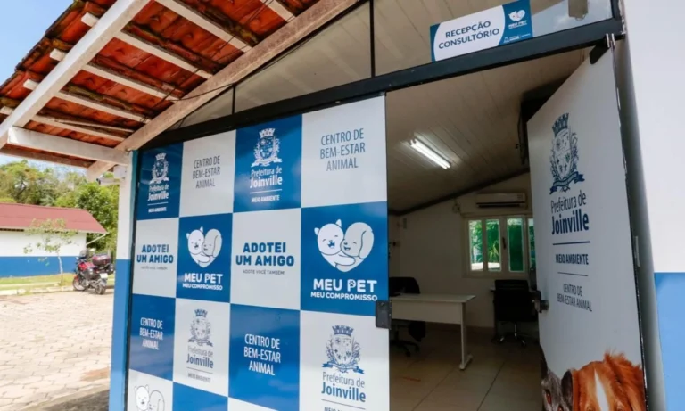 Denúncia de eutanásia em animais para esvaziar abrigo é investigada em SC