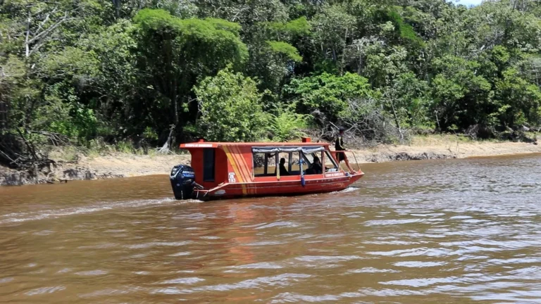 Naufrágio no Amazonas: cinco seguem desaparecidos após uma semana
