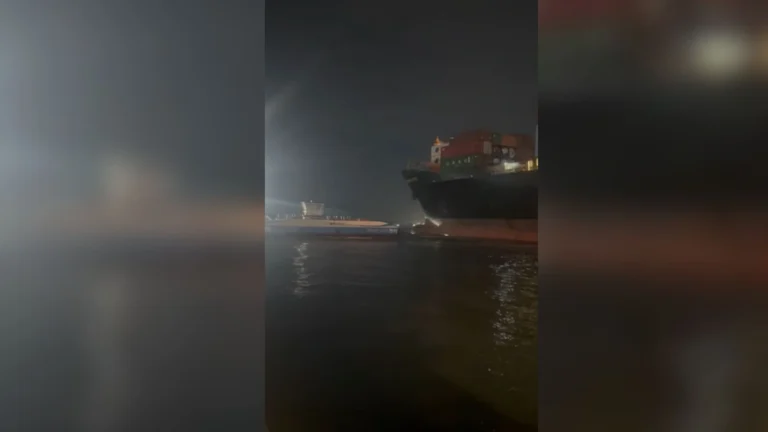Vídeo: Navio bate em balsas no Porto de Santos e tripulantes pulam no mar