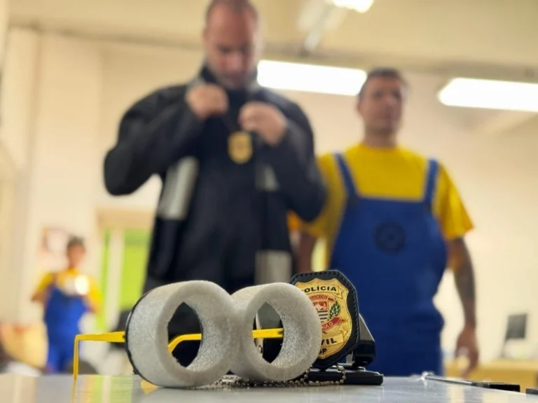 Meu Malvado Favorito: policiais se vestem de “Minions” e realizam prisões