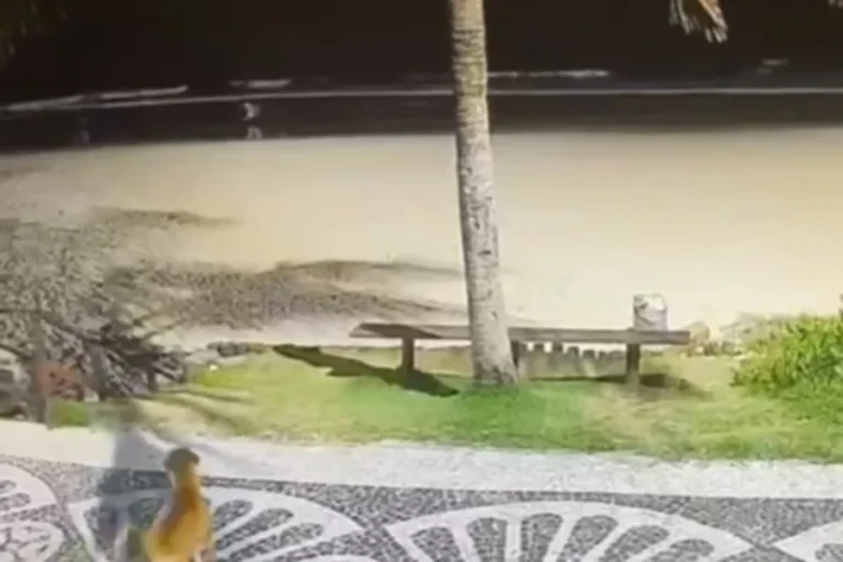Gravação ajuda a identificar adolescentes que tentaram afogar Caramelo. Veja vídeo