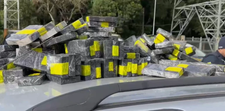 Carga milionária de celulares é encontrada em picape de mãe e filho no PR