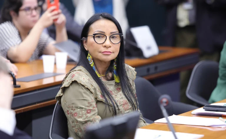 TSE mantém por unanimidade cassação de mandato de Silvia Waiãpi
