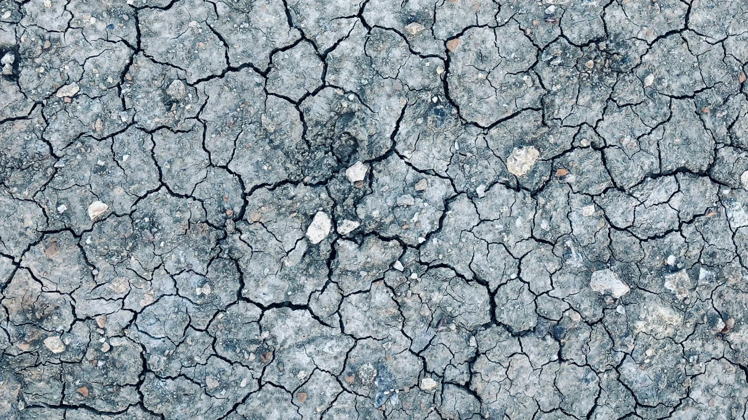 Tremor de terra: entenda por que Sudeste é uma das áreas mais propensas