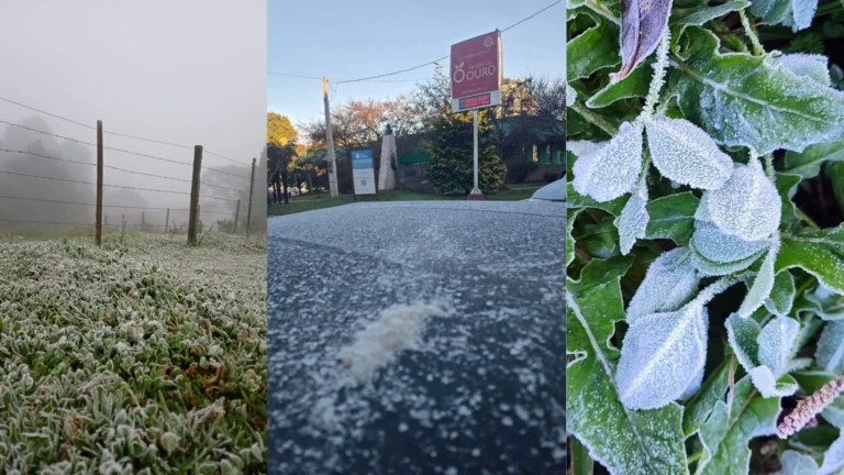 Porto Alegre tem menor temperatura do ano; RS registra frio abaixo de 0°C