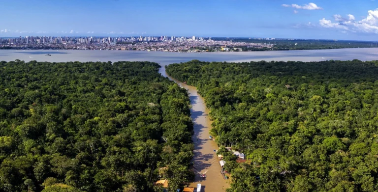 Análise: meio ambiente e o custo crescente da omissão