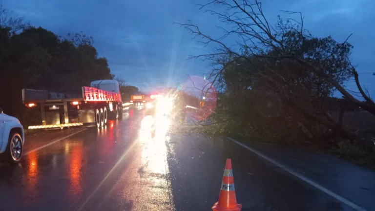 Temporal com granizo deixa mais de 400 desalojados na Grande Porto Alegre