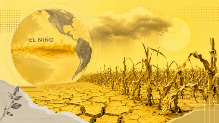 Governo anuncia R$ 1,3 bilhões para enfrentar possíveis efeitos do El Niño