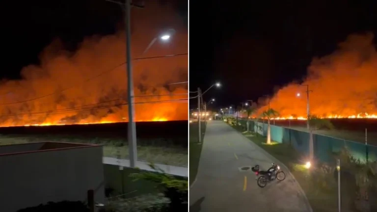 Vídeo: Incêndio de grandes proporções atinge área de mata no litoral do RS