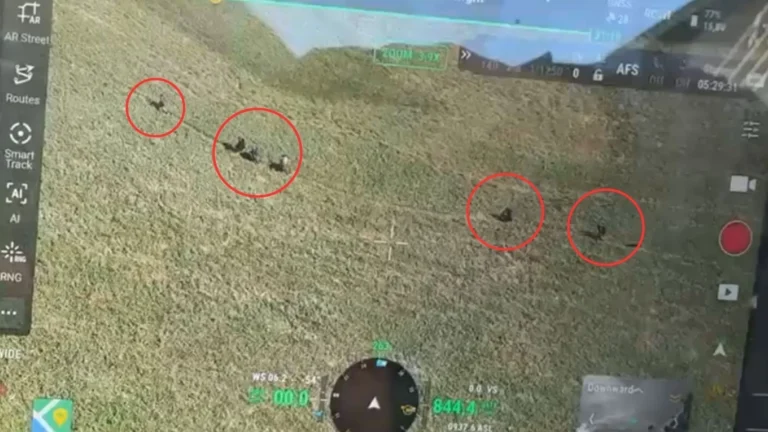 Vídeo: Drone da PM identifica criminosos fugindo por área de mata no Rio