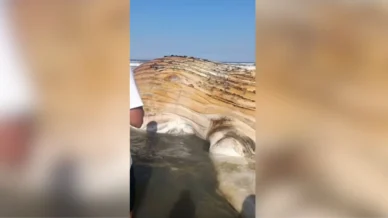Baleia é encontrada morta na faixa de areia em praia de SP