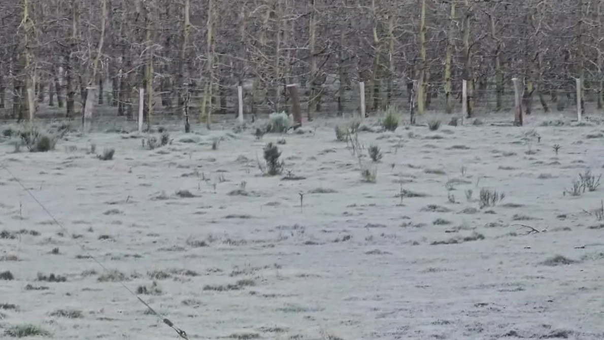 Frio intenso provoca geada e temperatura de -7,7°C em Santa Catarina; veja