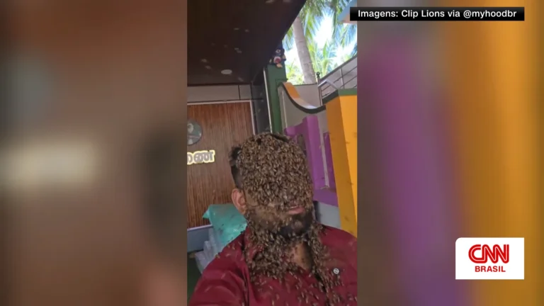 Homem na Índia fica mais de cinco horas com rosto coberto por abelhas
