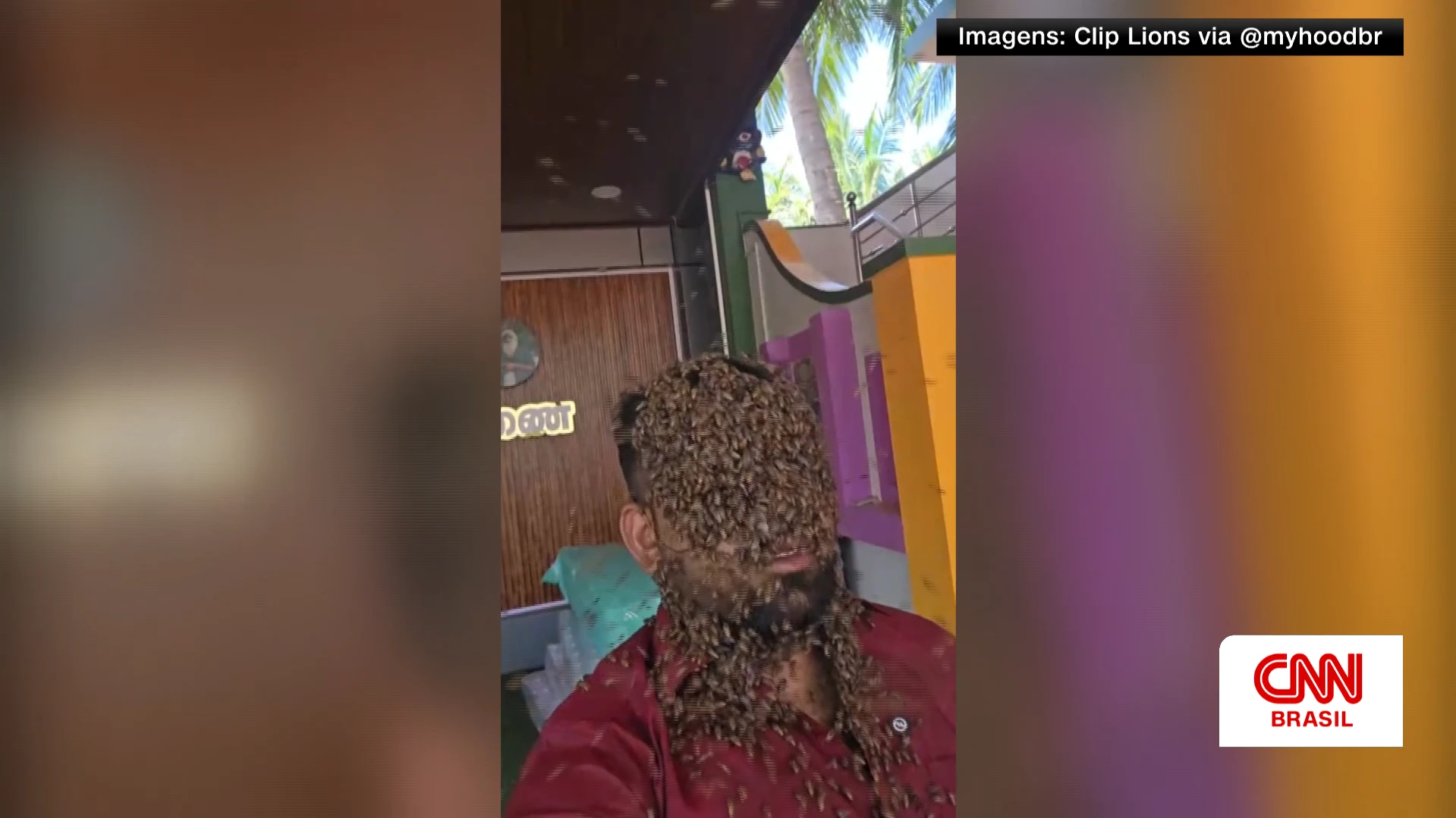 Homem na Índia fica mais de cinco horas com rosto coberto por abelhas
