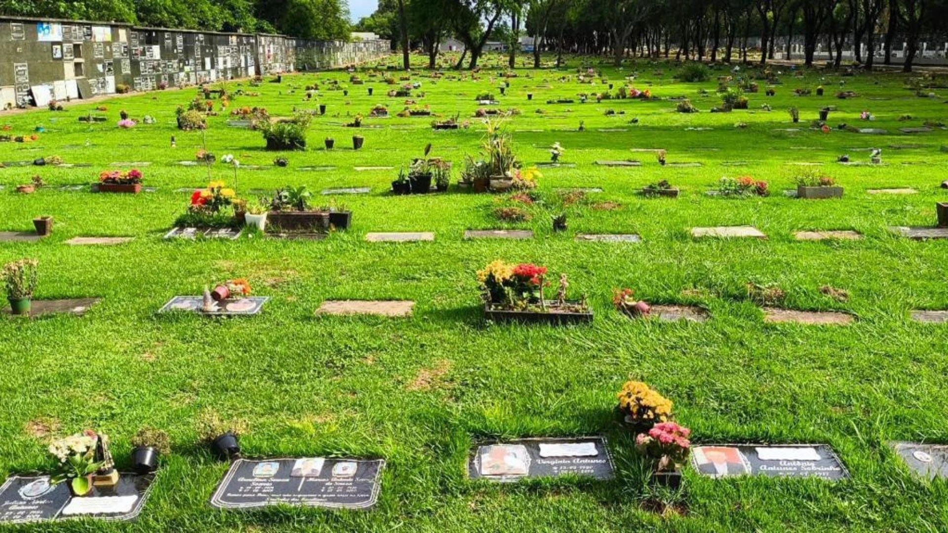 'Cemitério lotado': seis corpos aguardam sepultamento em Foz do Iguaçu