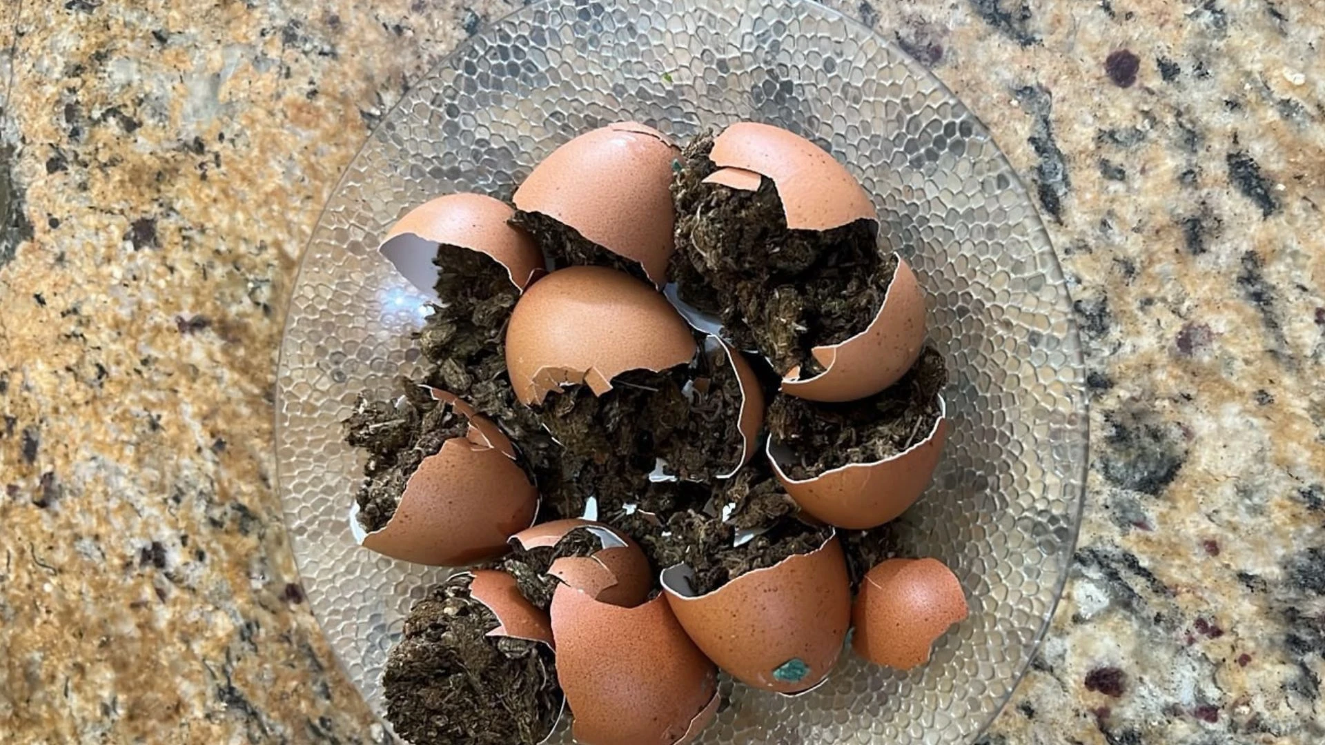 'Omelete de maconha': visitante tenta entrar com ovos recheados de droga no presídio na PB