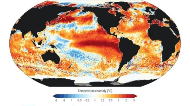 Super El Niño faz São Paulo lançar plano para 
