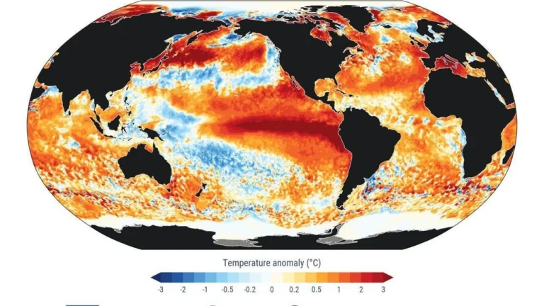 Super El Niño faz São Paulo lançar plano para “antecipar cenários de risco”