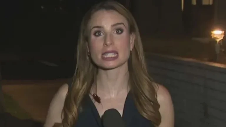 Barata voadora pousa em repórter ao vivo e reação surpreende; assista